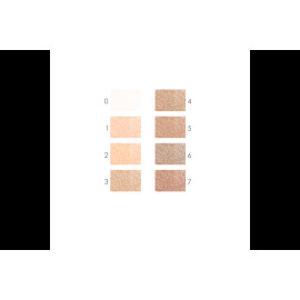 Антибактеріальна компактна пудра IMPALA № 1