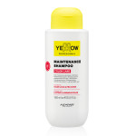 Шампунь для окрашенных волос с эффектом сохранения цвета YELLOW COLOR CARE SHAMPOO 1000